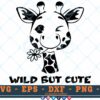 M068 Wild but Cute 3 2 Thum Baby Giraffe SVG Wild But Cute SVG Cute Baby SVG Baby SVG Animals SVG Cute Little Baby SVG