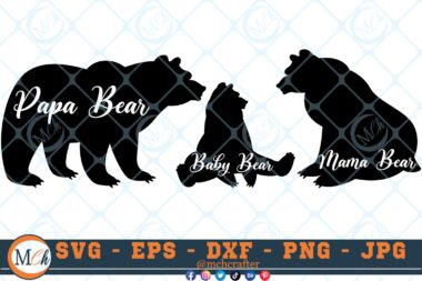 Bear Fam 1 Home