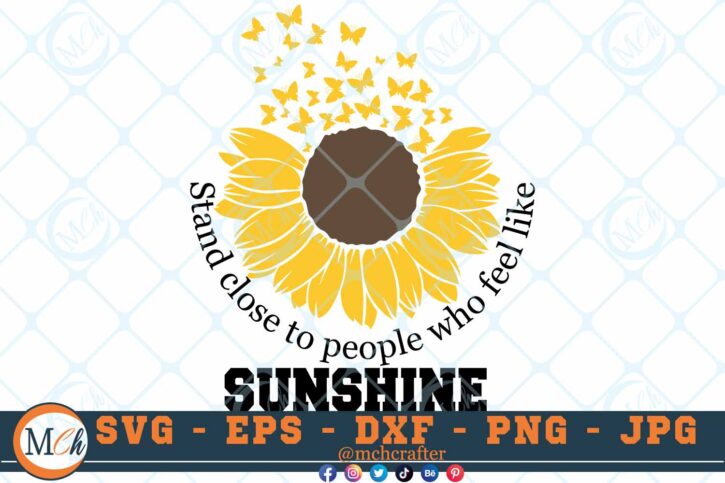 M209 STAND CLR 3 2 Thum Sunflower SVG Stand CLose to People Who Feel Like Sunshine SVG Nature SVG Cut File for Cricut