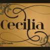 1 01 1 Cecilia font | Fancy Modern Serif Typeface Family