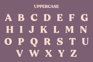 12 01 3 Tangers font | Fancy Modern Serif Typeface
