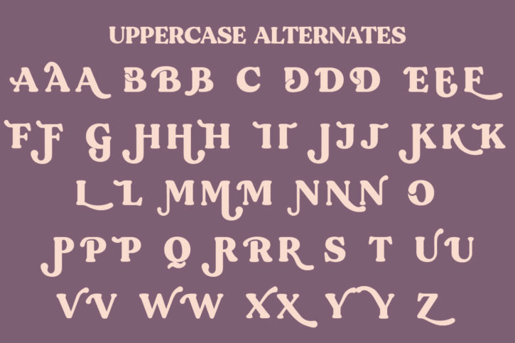 14 01 1 Tangers font | Fancy Modern Serif Typeface