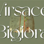 1 012 Virsace Bigiora Font | Modern Stylistic Sans Serif Font