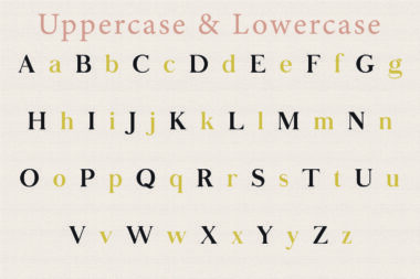 12 01 1 Diem Gibling font | Modern & Classy Serif Typeface