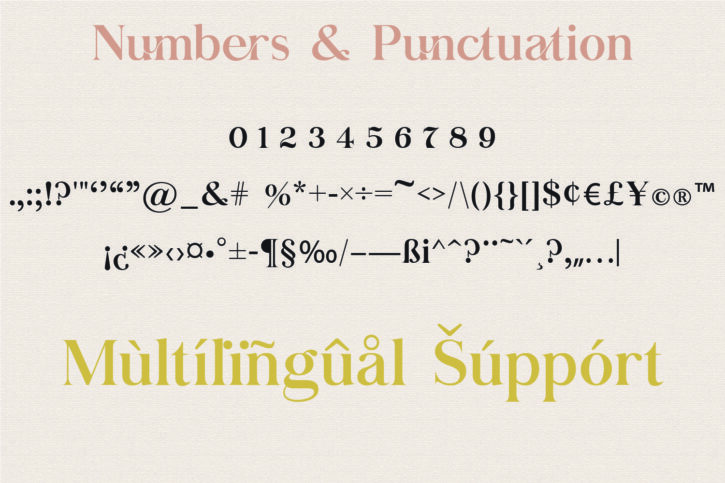 13 01 1 Diem Gibling font | Modern & Classy Serif Typeface