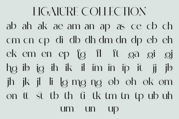 14 Valentiamo Font | Modern Stylistic Serif Family