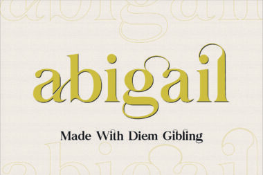 2 01 Diem Gibling font | Modern & Classy Serif Typeface