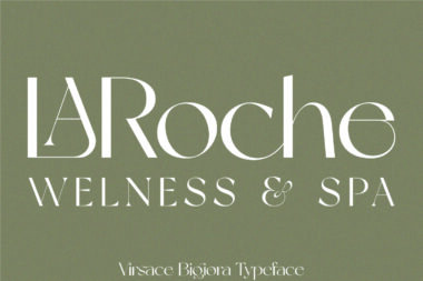 3 01 1 Virsace Bigiora Font | Modern Stylistic Sans Serif Font