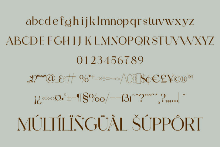 1 14 01 Bibalgoski Font | Stunning Serif Typeface