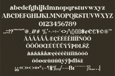 13 Dakosta Font | Retro Serif Typeface