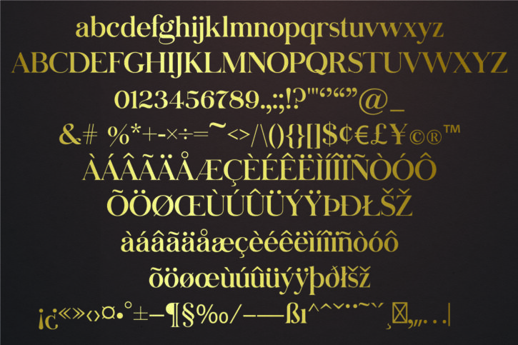 14 La Vamora Font | Fancy Modern Serif Typeface